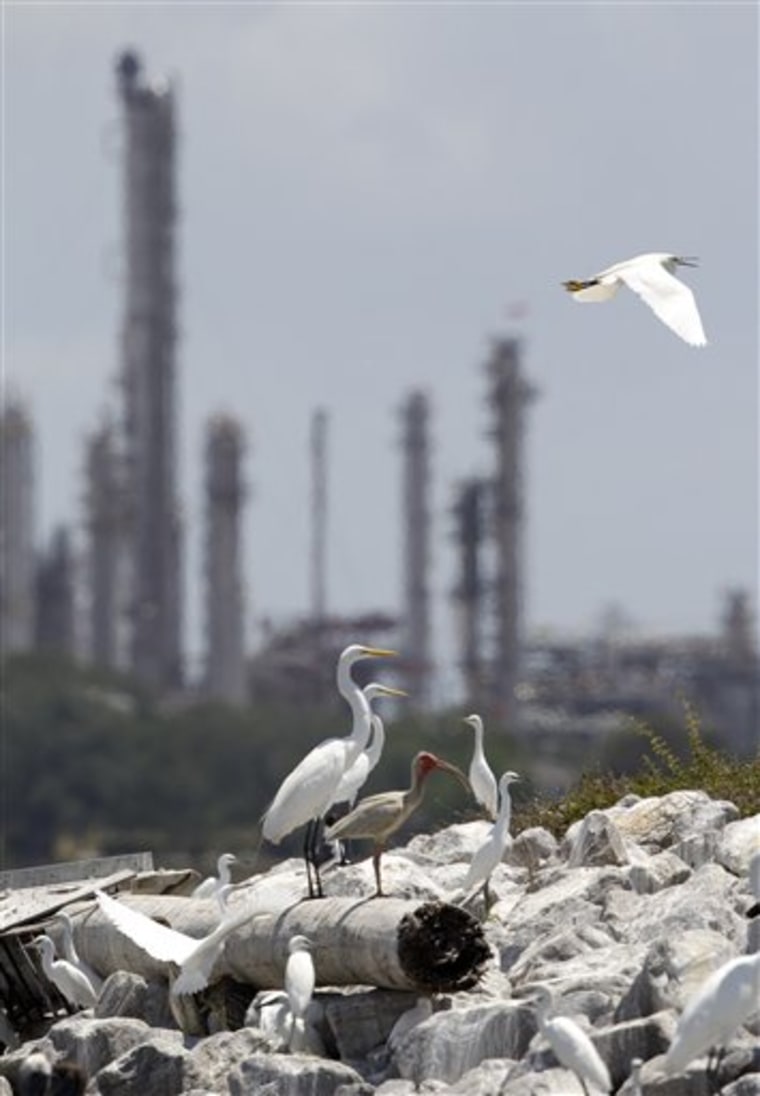 Egrets, Houston Ship Channel, Refinery